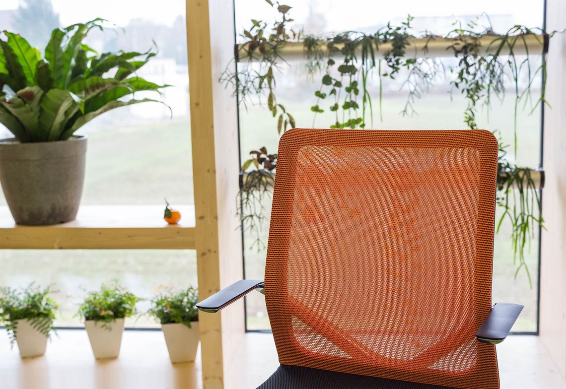 Netzrücken des Bürostuhls Linq 